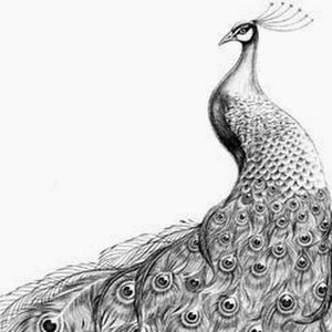 Meet your Posher, Ericka